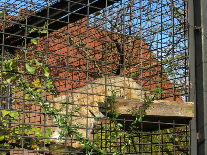 A photograph of Jonathan in Magdeburg Zoo