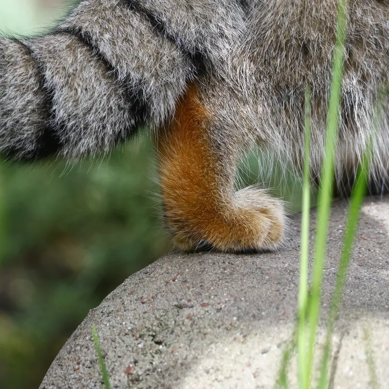 A photograph of Timofey in Moscow zoo