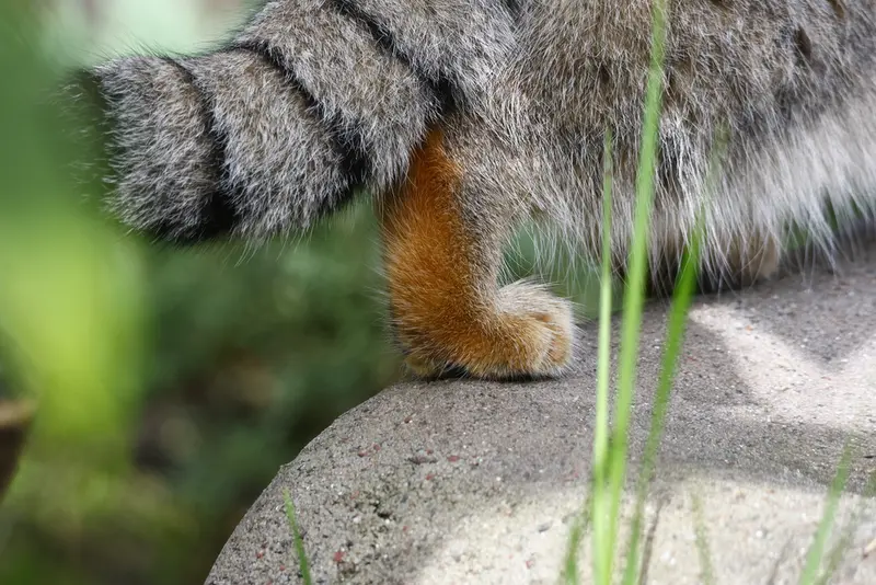 A photograph of Timofey in Moscow zoo