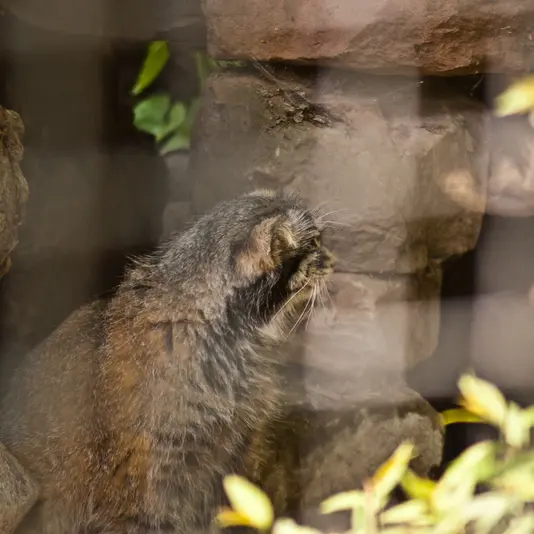 A photograph of Karl-Heinz in Saarbrücken Zoo