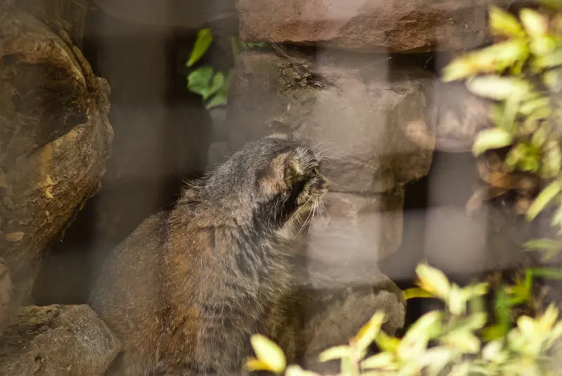 A photograph of Karl-Heinz in Saarbrücken Zoo