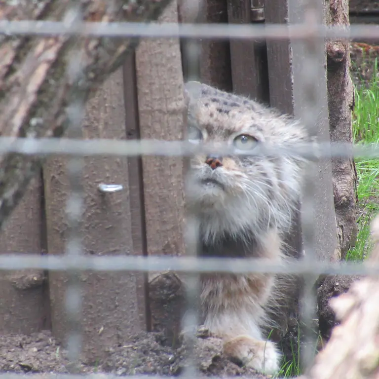 A photograph of Jessie in Warsaw Zoo