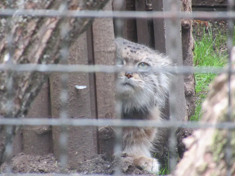 A photograph of Jessie in Warsaw Zoo