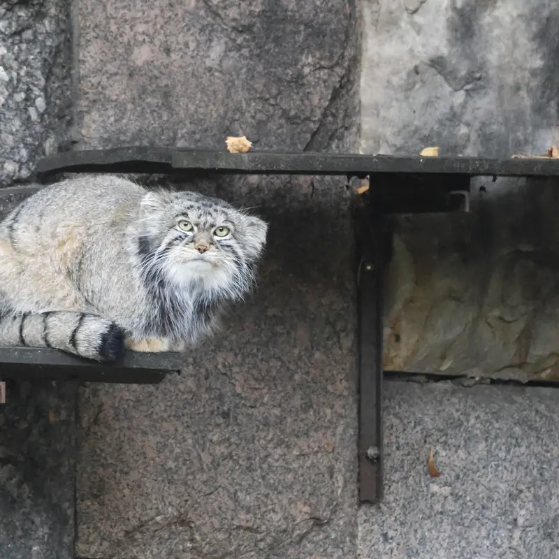 A photograph of Timofey in Moscow zoo