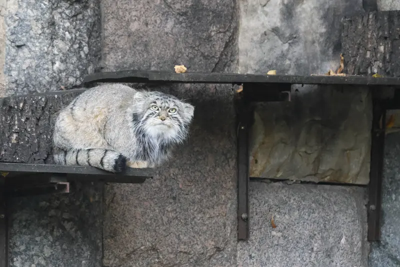 A photograph of Timofey in Moscow zoo