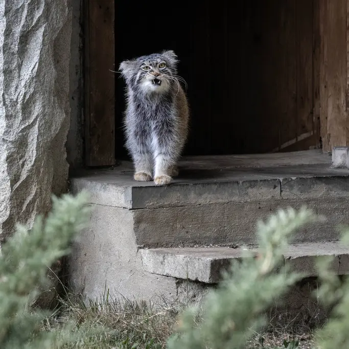 A photograph of Timofey in Moscow zoo