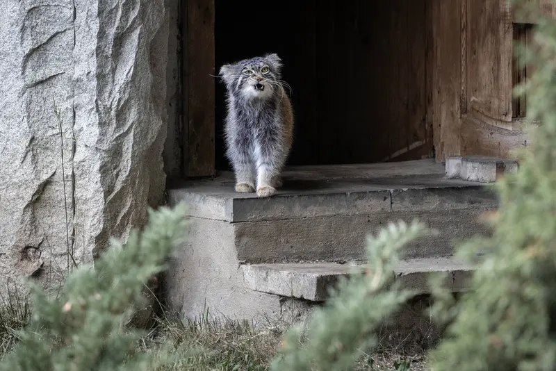 A photograph of Timofey in Moscow zoo