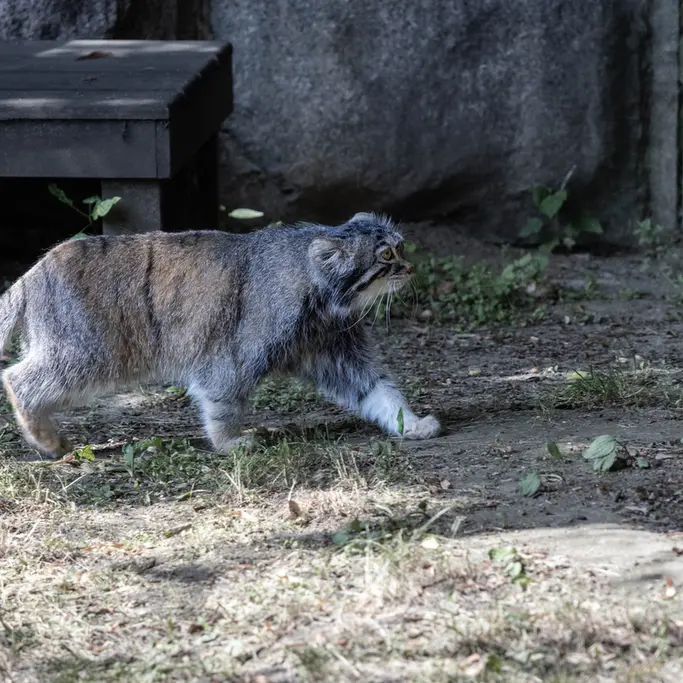 A photograph of Timofey in Moscow zoo