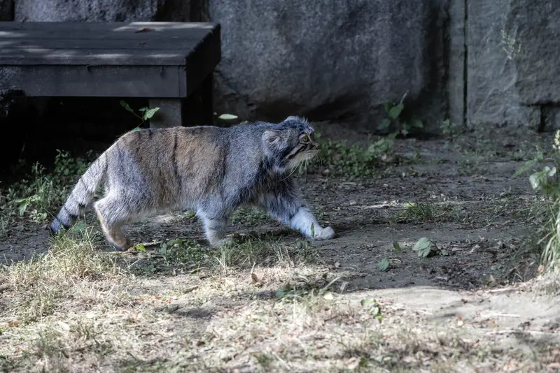 A photograph of Timofey in Moscow zoo