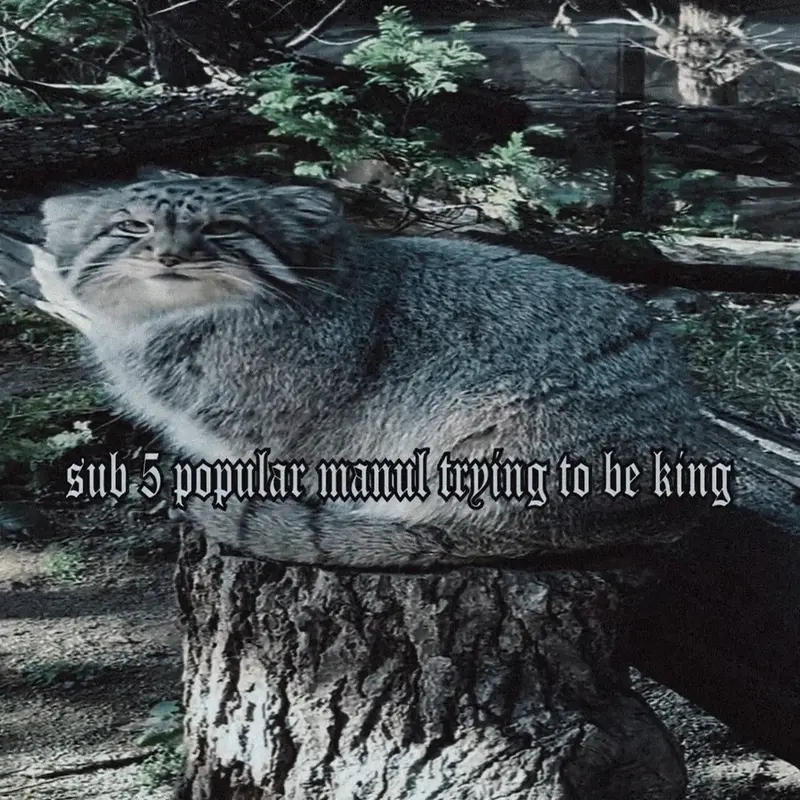 Lotus edit i made like 2 months ago to counterbalance the worrying lotus post i made
