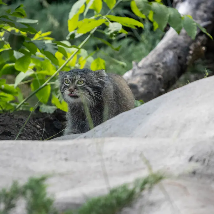 A photograph of Timofey in Moscow zoo