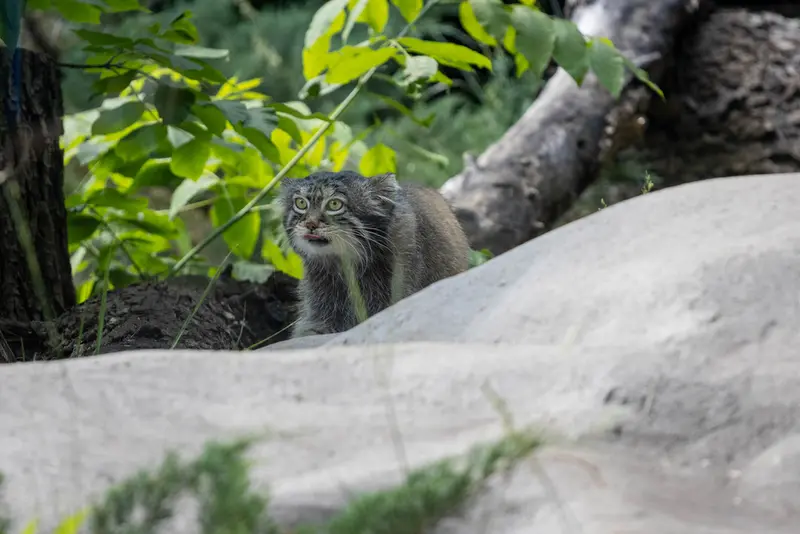 A photograph of Timofey in Moscow zoo