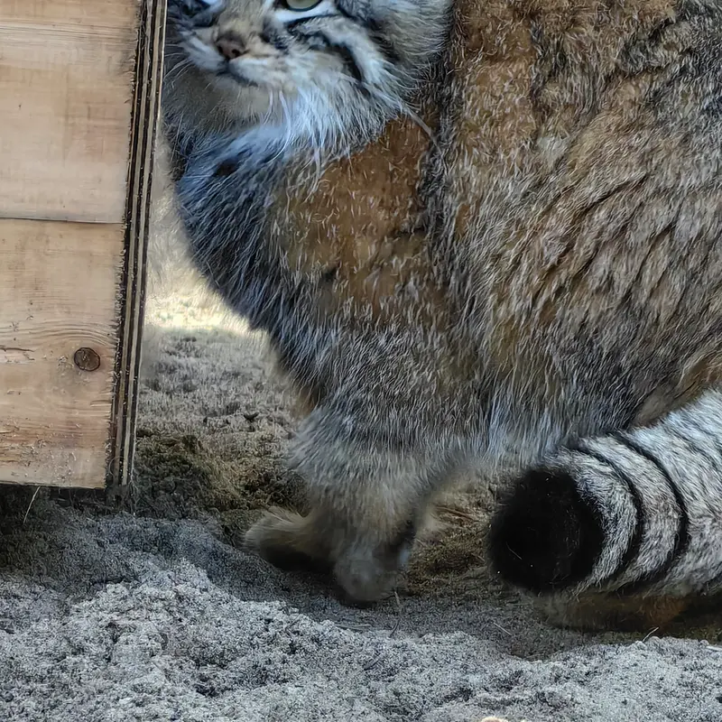 A photograph of Anya in Novosibirsk Zoo