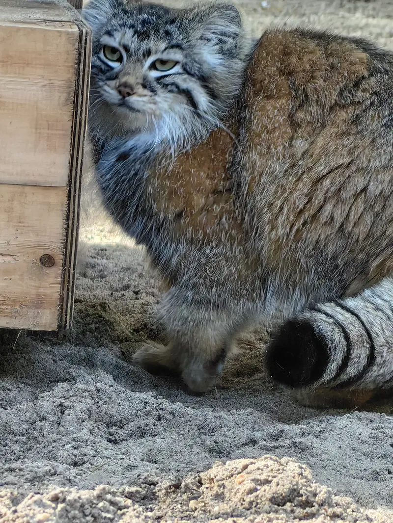 A photograph of Anya in Novosibirsk Zoo