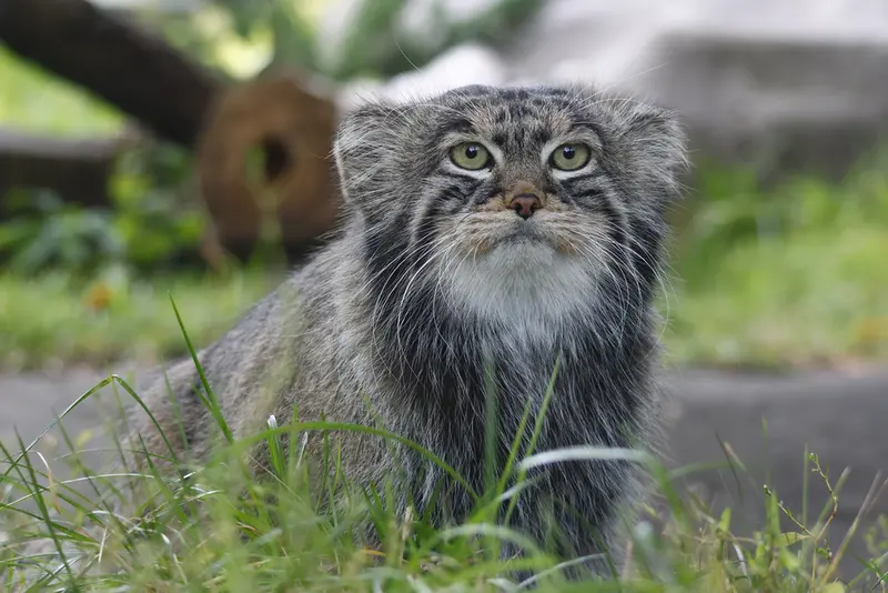 A photograph of Timofey in Moscow zoo