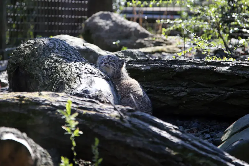 A photograph of Moira in Ostrava Zoo