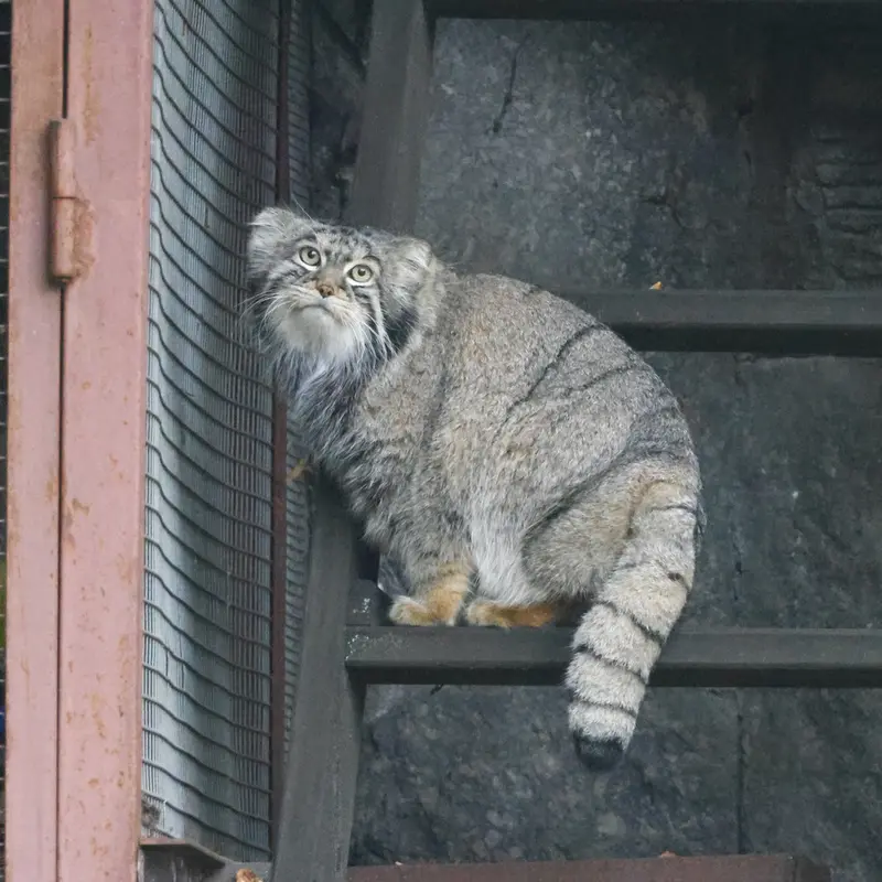 A photograph of Timofey in Moscow zoo