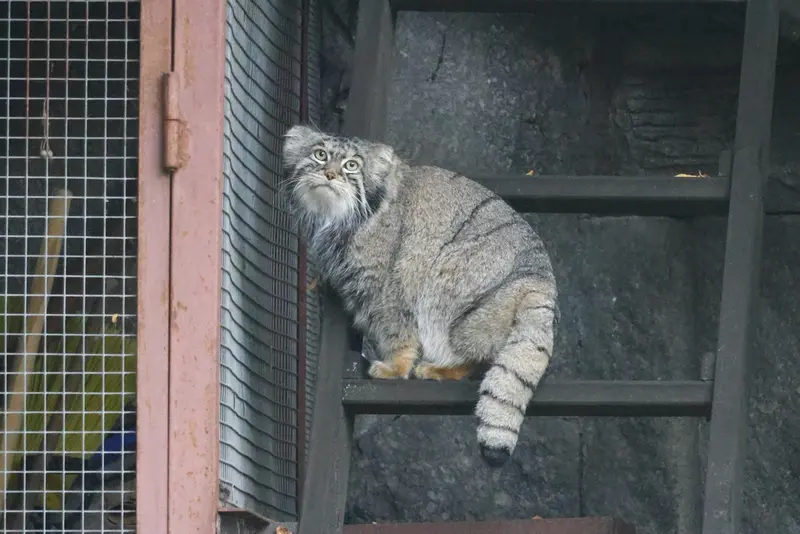 A photograph of Timofey in Moscow zoo