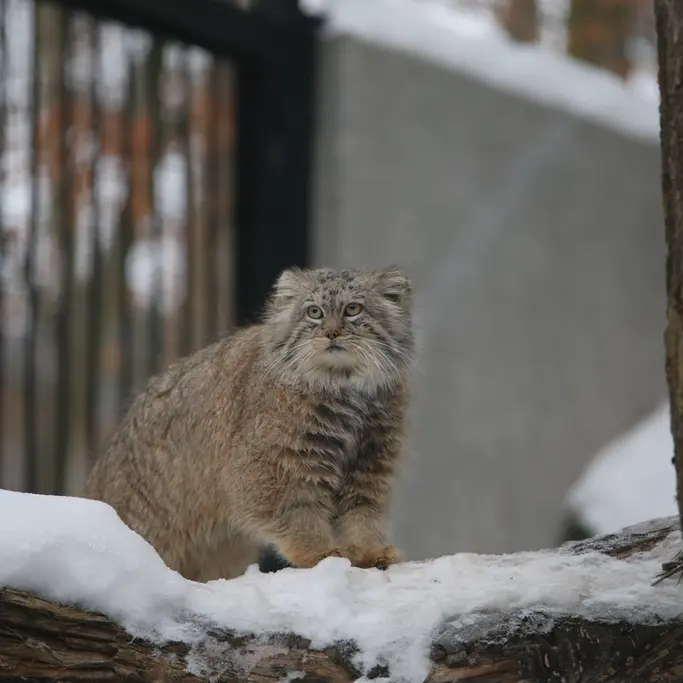 A photograph of Manuel in Gdansk Zoo