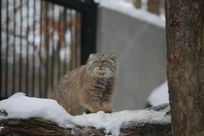 A photograph of Manuel in Gdansk Zoo