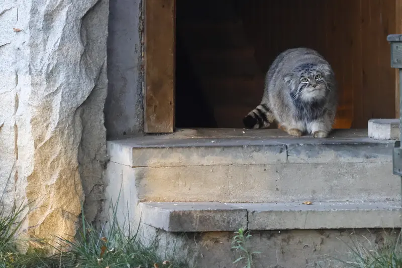 A photograph of Timofey in Moscow zoo