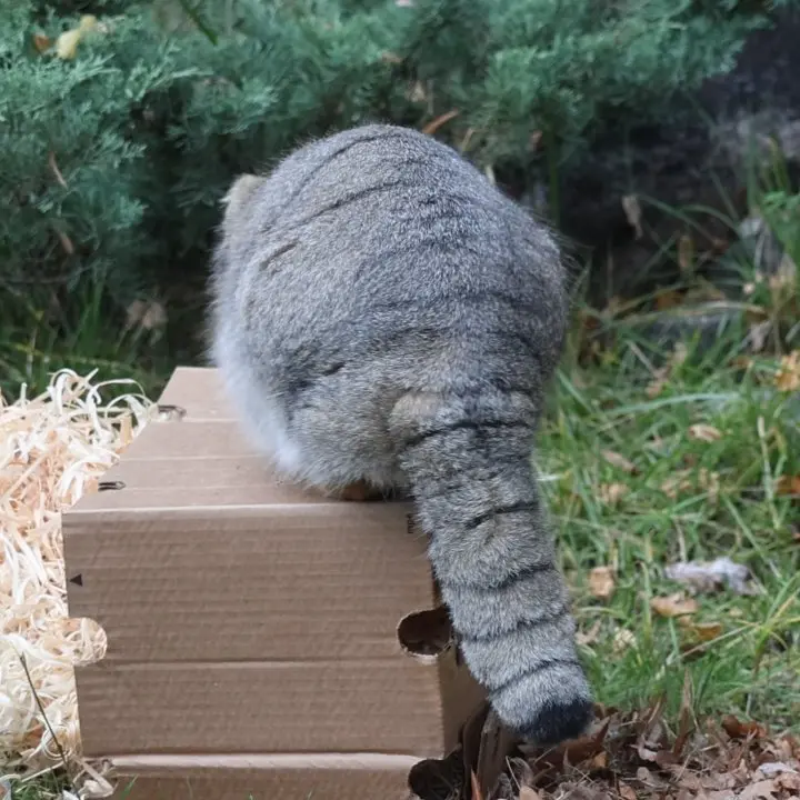 A photograph of Timofey in Moscow zoo