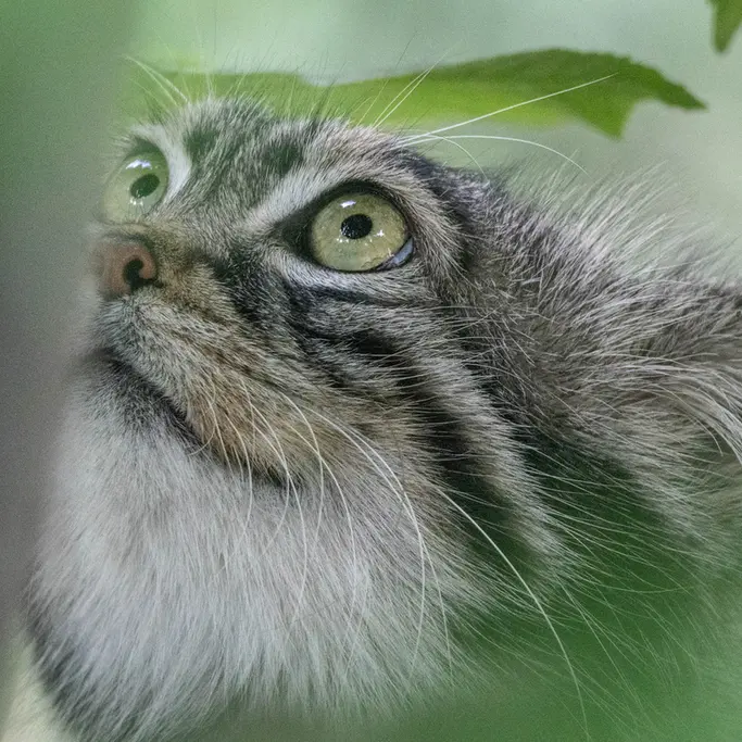 A photograph of Timofey in Moscow zoo