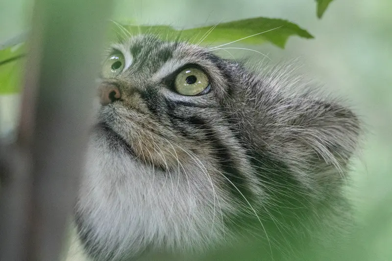 A photograph of Timofey in Moscow zoo
