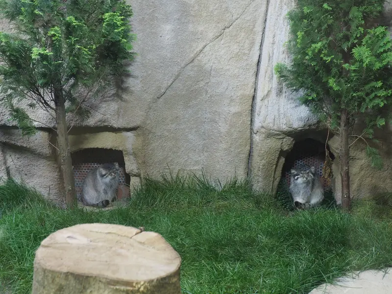A photograph of Bor and Polly in Nasu Animal Kingdom