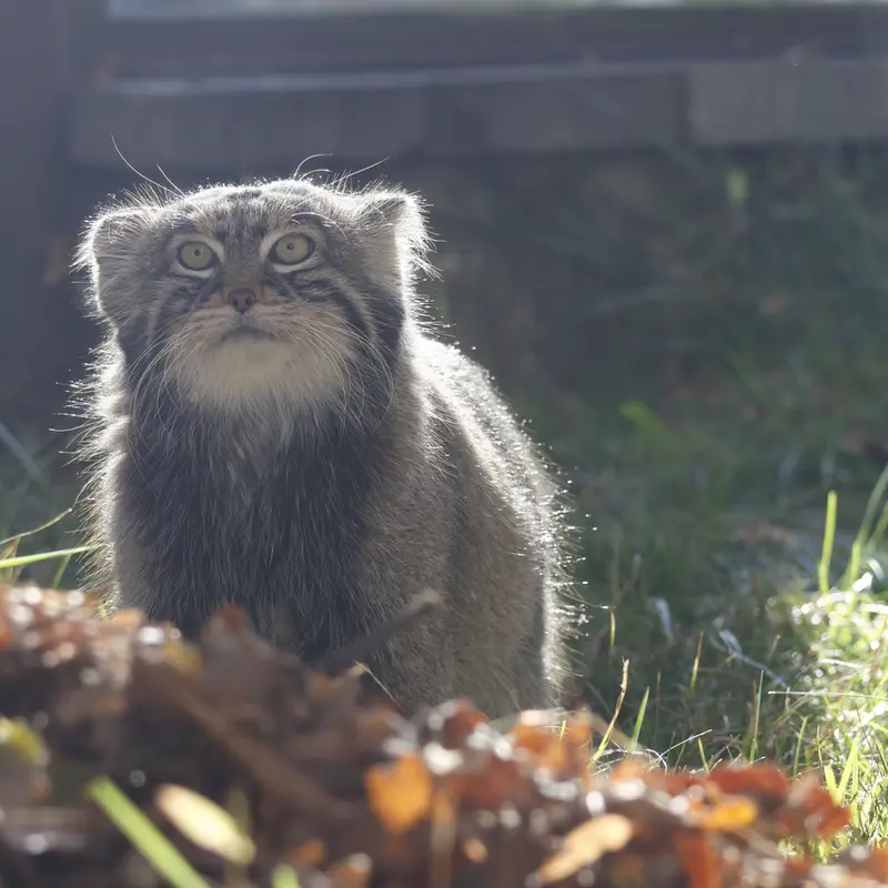 A photograph of Timofey in Moscow zoo
