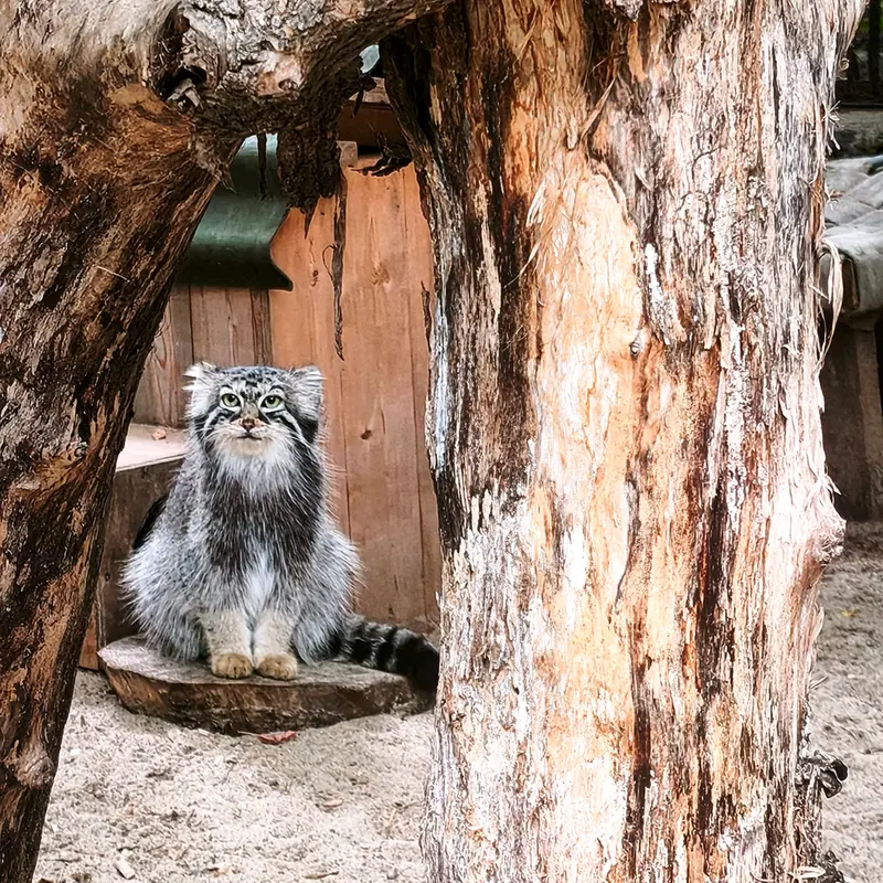 A photograph of Anya in Novosibirsk Zoo