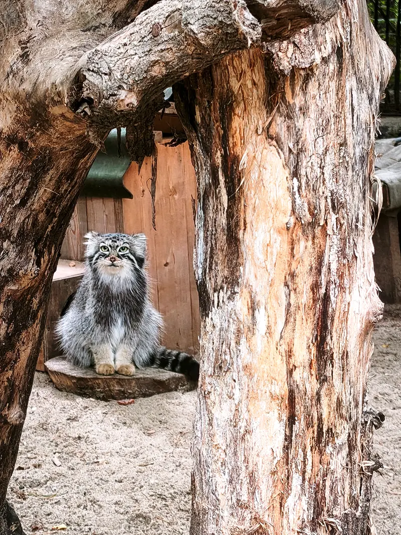 A photograph of Anya in Novosibirsk Zoo