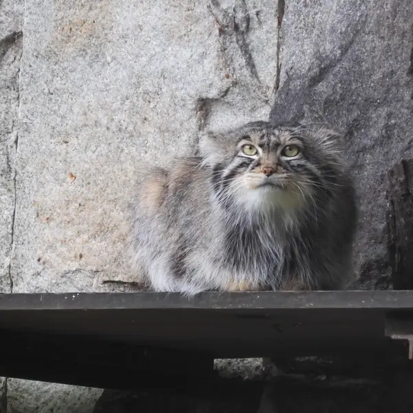 A photograph of Timofey in Moscow zoo