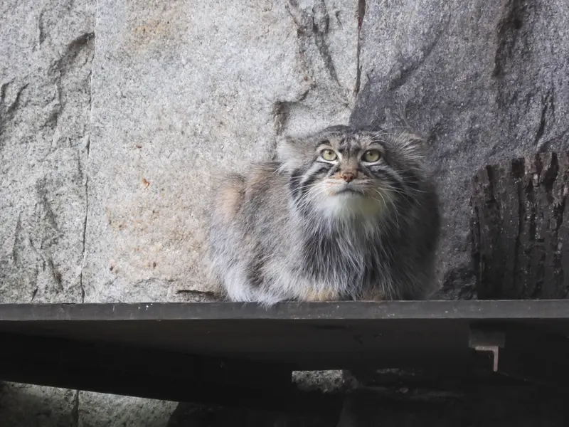 A photograph of Timofey in Moscow zoo