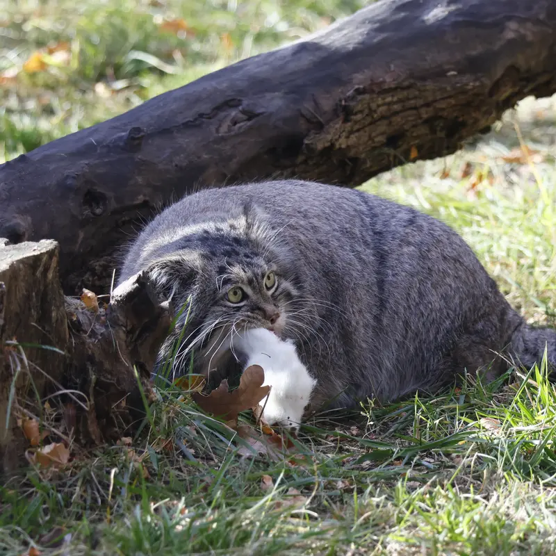 A photograph of Timofey in Moscow zoo