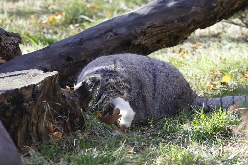 A photograph of Timofey in Moscow zoo