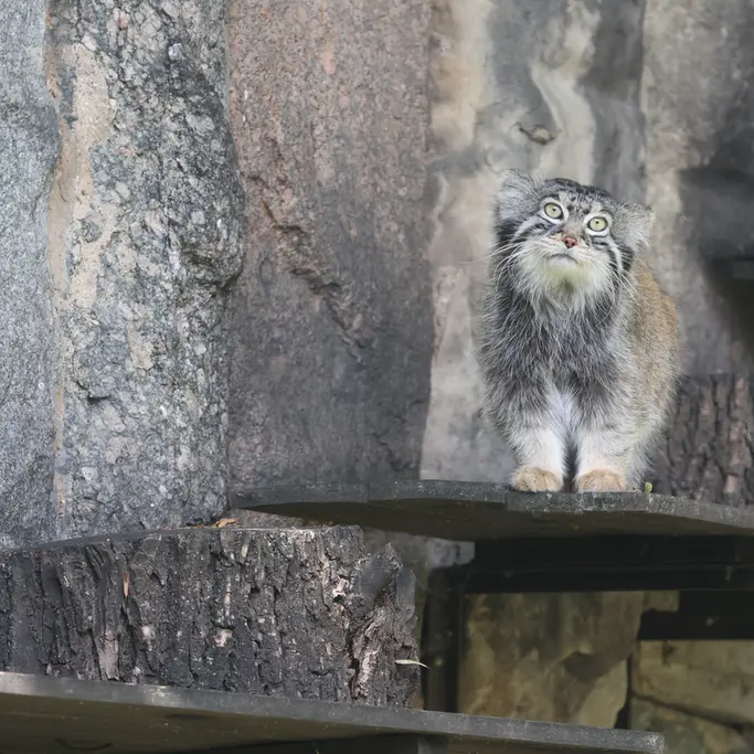 A photograph of Timofey in Moscow zoo