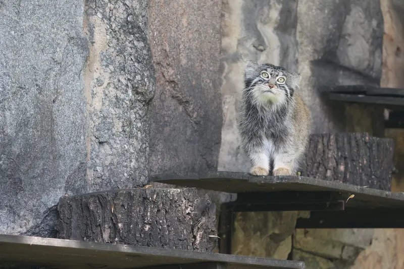 A photograph of Timofey in Moscow zoo