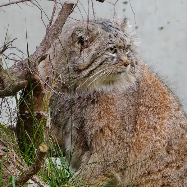 A photograph of Manuel in Gdansk Zoo
