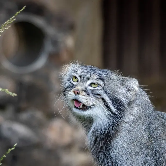 A photograph of Timofey in Moscow zoo
