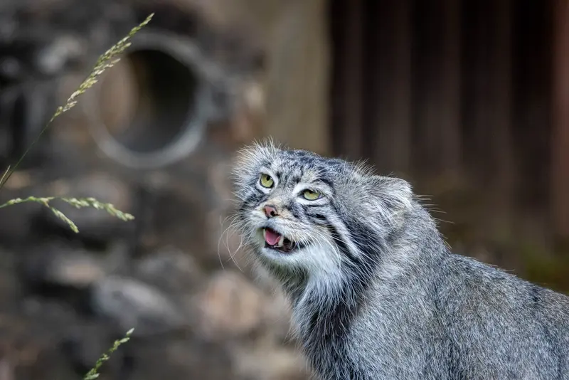 A photograph of Timofey in Moscow zoo