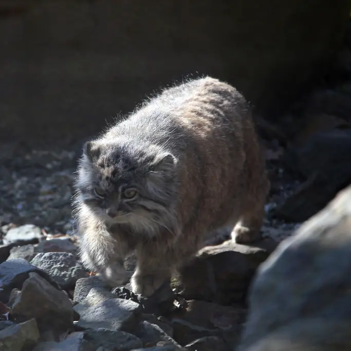 A photograph of Moira in Ostrava Zoo