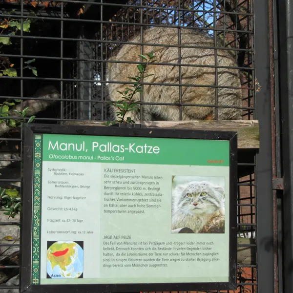 A photograph of Jonathan in Magdeburg Zoo