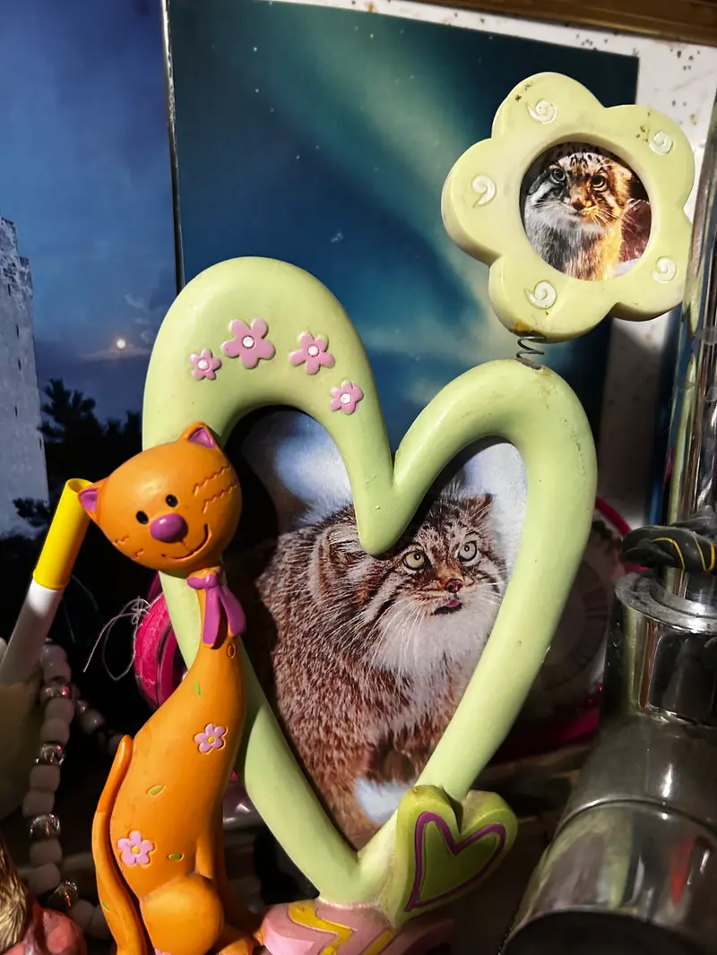 A photograph of Bor and Polly