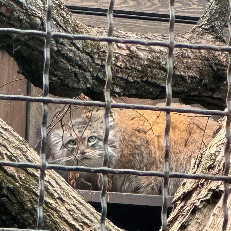 A photograph of Jessie in Warsaw Zoo
