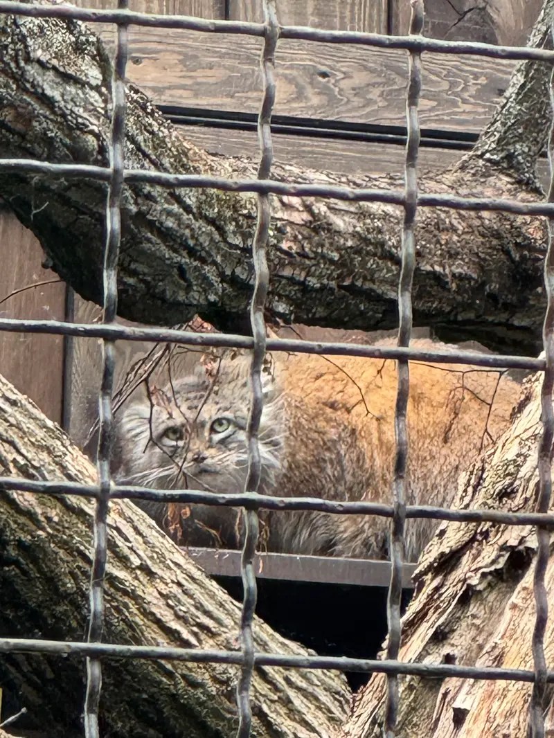 A photograph of Jessie in Warsaw Zoo