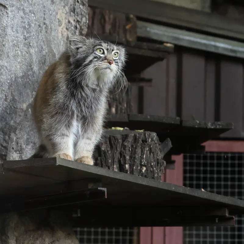 A photograph of Timofey in Moscow zoo