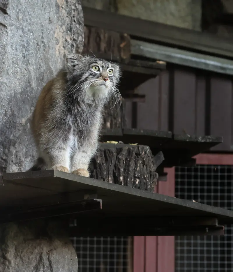 A photograph of Timofey in Moscow zoo