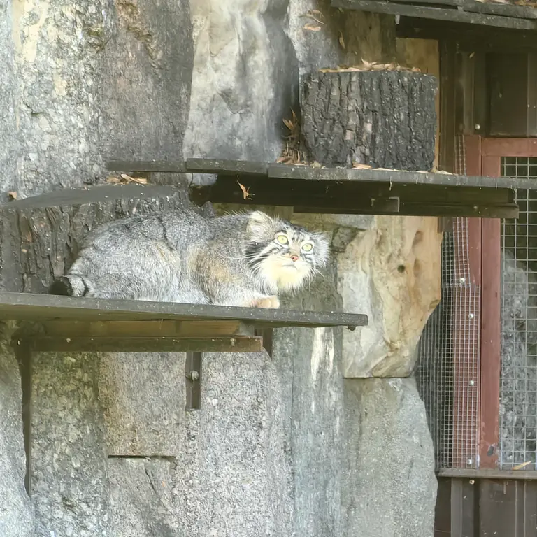 A photograph of Timofey in Moscow zoo