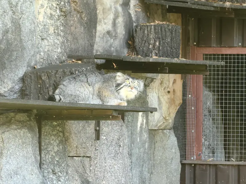 A photograph of Timofey in Moscow zoo